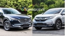 So sanh xe Mazda CX-8 2019 va Honda CR-V 2019 ban du tai Viet Nam
