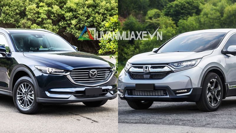 So sánh xe Mazda CX-8 2019 và Honda CR-V 2019 bản đủ tại Việt Nam - Ảnh 1